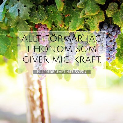 Filipperbrevet 4:13 SV1917 Bild av bibelvers