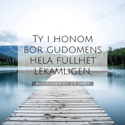 Kolosserbrevet 2:9 SV1917 Bild av bibelvers