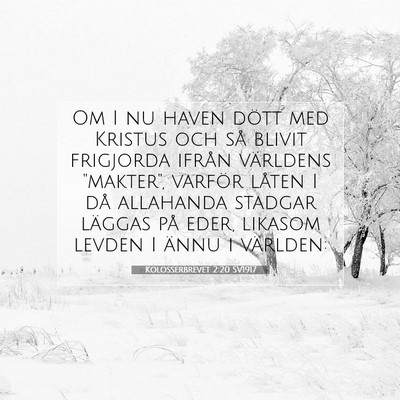 Kolosserbrevet 2:20 SV1917 Bild av bibelvers
