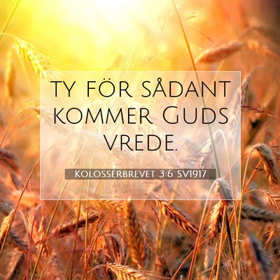 Kolosserbrevet 3:6 Bibelvers Förklarad