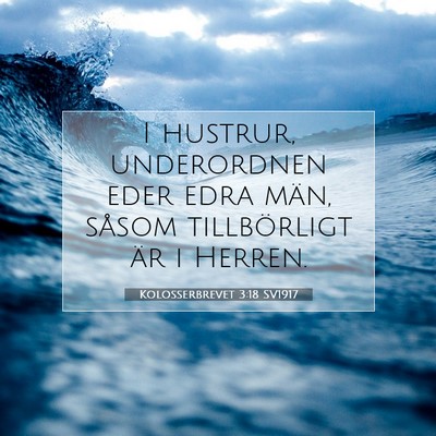 Kolosserbrevet 3:18 Bibelvers Förklarad