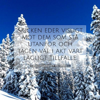 Kolosserbrevet 4:5 SV1917 Bild av bibelvers