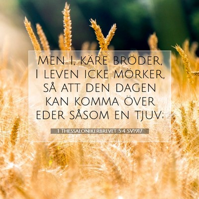 1 Thessalonikerbrevet 5:4 SV1917 Bild av bibelvers