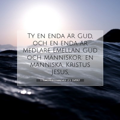 1 Timotheosbrevet 2:5 SV1917 Bild av bibelvers