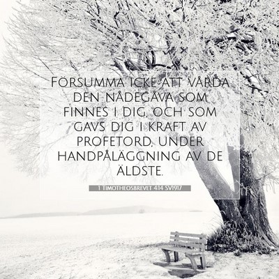 1 Timotheosbrevet 4:14 SV1917 Bild av bibelvers