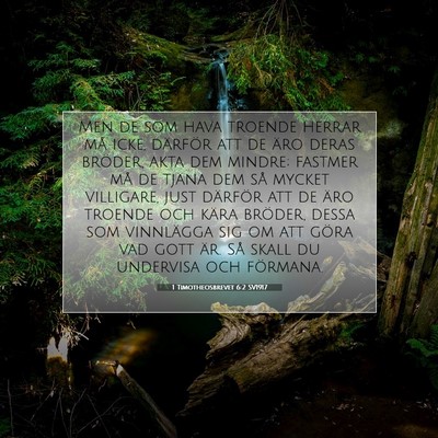1 Timotheosbrevet 6:2 SV1917 Bild av bibelvers