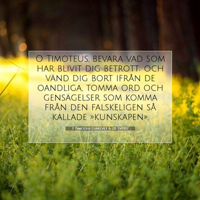 1 Timotheosbrevet 6:20 SV1917 Bild av bibelvers