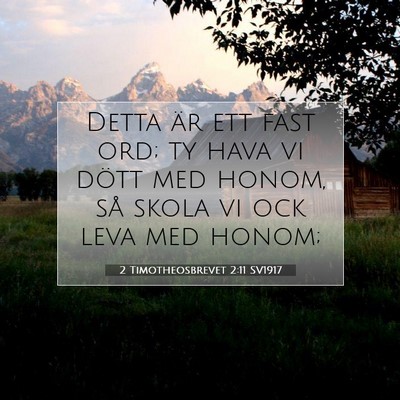 2 Timotheosbrevet 2:11 SV1917 Bild av bibelvers