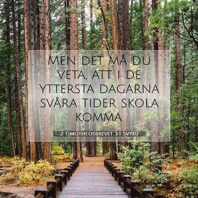 2 Timotheosbrevet 3:1 SV1917 Bild av bibelvers