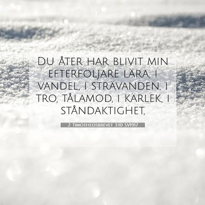 2 Timotheosbrevet 3:10 Bibelvers Förklarad