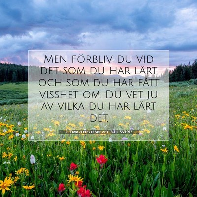 2 Timotheosbrevet 3:14 SV1917 Bild av bibelvers