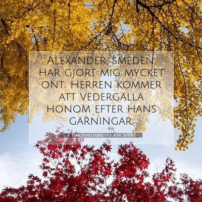 2 Timotheosbrevet 4:14 Bibelvers Förklarad