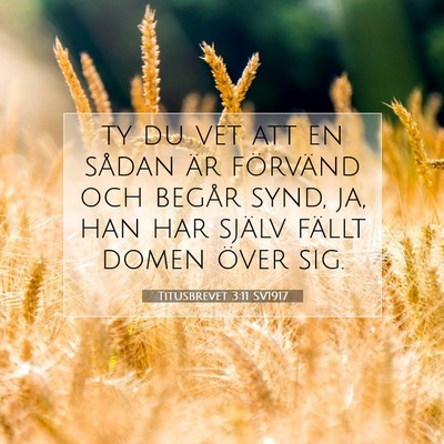 Titusbrevet 3:11 SV1917 Bild av bibelvers