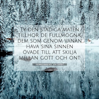 Hebreerbrevet 5:14 SV1917 Bild av bibelvers