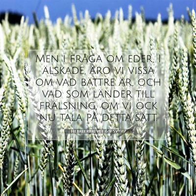 Hebreerbrevet 6:9 SV1917 Bild av bibelvers