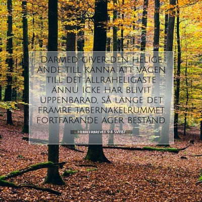 Hebreerbrevet 9:8 SV1917 Bild av bibelvers