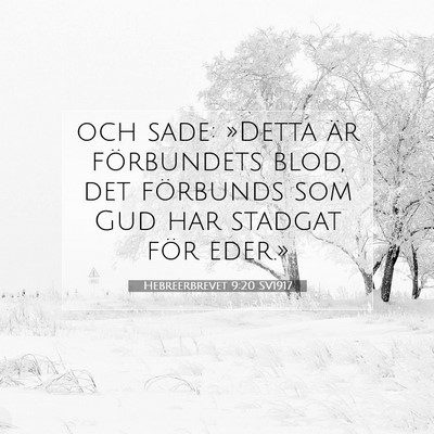 Hebreerbrevet 9:20 Bibelvers Förklarad