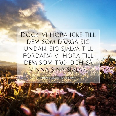 Hebreerbrevet 10:39 SV1917 Bild av bibelvers