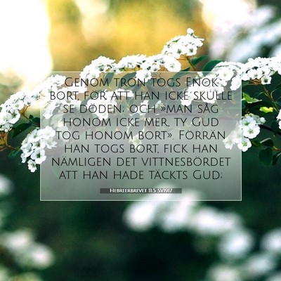 Hebreerbrevet 11:5 SV1917 Bild av bibelvers