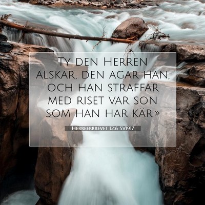 Hebreerbrevet 12:6 SV1917 Bild av bibelvers