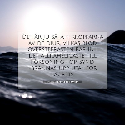Hebreerbrevet 13:11 SV1917 Bild av bibelvers