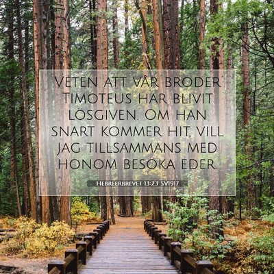 Hebreerbrevet 13:23 SV1917 Bild av bibelvers