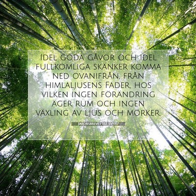 Jakobsbrevet 1:17 SV1917 Bild av bibelvers
