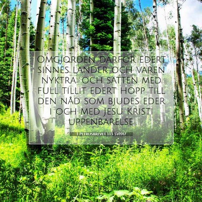 1 Petrusbrevet 1:13 SV1917 Bild av bibelvers