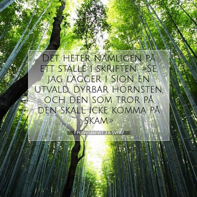 1 Petrusbrevet 2:6 SV1917 Bild av bibelvers