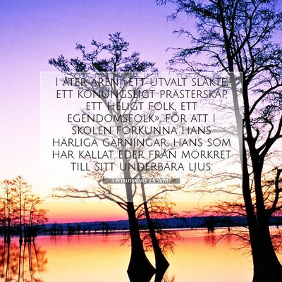1 Petrusbrevet 2:9 SV1917 Bild av bibelvers