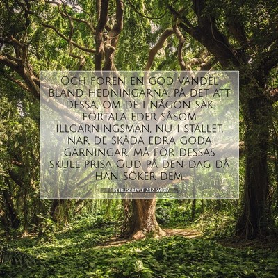 1 Petrusbrevet 2:12 SV1917 Bild av bibelvers