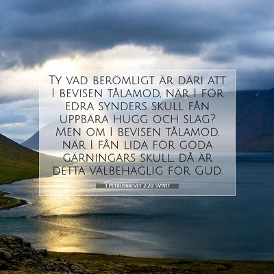 1 Petrusbrevet 2:20 SV1917 Bild av bibelvers