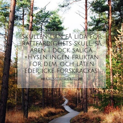 1 Petrusbrevet 3:14 SV1917 Bild av bibelvers