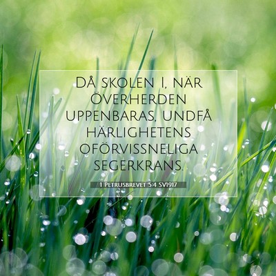 1 Petrusbrevet 5:4 SV1917 Bild av bibelvers