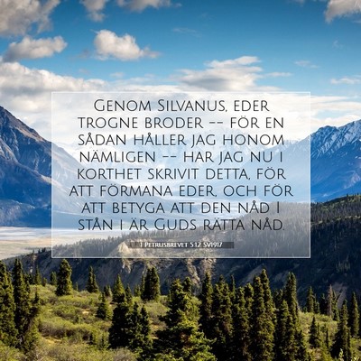 1 Petrusbrevet 5:12 SV1917 Bild av bibelvers