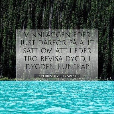 2 Petrusbrevet 1:5 SV1917 Bild av bibelvers