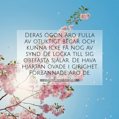 2 Petrusbrevet 2:14 SV1917 Bild av bibelvers