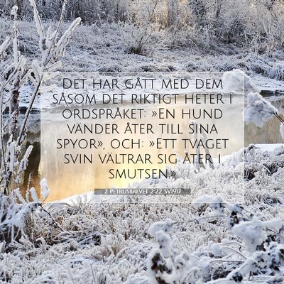 2 Petrusbrevet 2:22 Bibelvers Förklarad