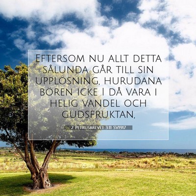 2 Petrusbrevet 3:11 SV1917 Bild av bibelvers