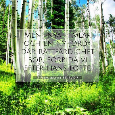 2 Petrusbrevet 3:13 SV1917 Bild av bibelvers