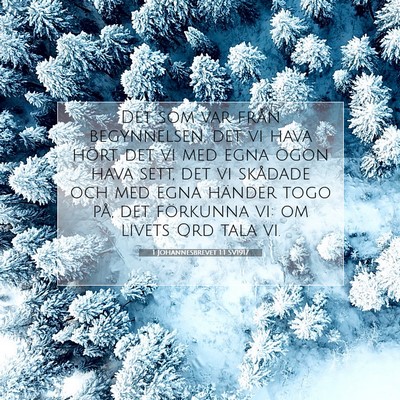 1 Johannesbrevet 1:1 Bibelvers Förklarad