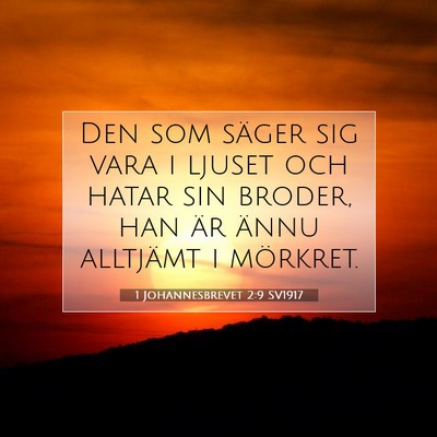 1 Johannesbrevet 2:9 SV1917 Bild av bibelvers