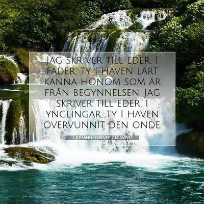 1 Johannesbrevet 2:13 SV1917 Bild av bibelvers