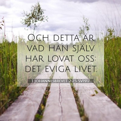 1 Johannesbrevet 2:25 Bibelvers Förklarad