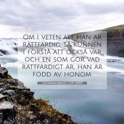 1 Johannesbrevet 2:29 SV1917 Bild av bibelvers