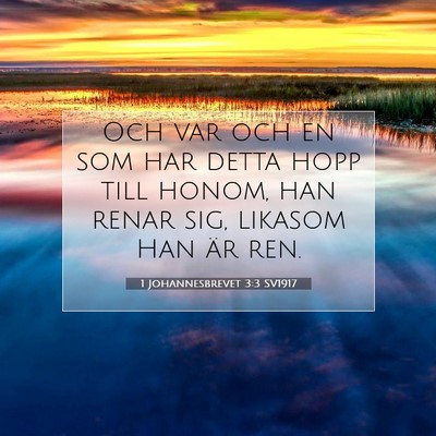 1 Johannesbrevet 3:3 Bibelvers Förklarad