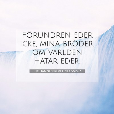 1 Johannesbrevet 3:13 Bibelvers Förklarad