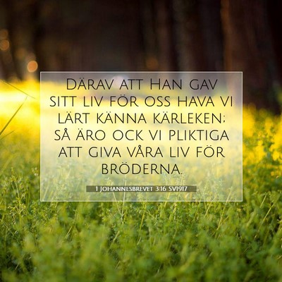 1 Johannesbrevet 3:16 Bibelvers Förklarad