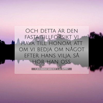 1 Johannesbrevet 5:14 Bibelvers Förklarad
