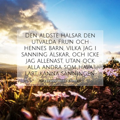 2 Johannesbrevet 1:1 SV1917 Bild av bibelvers